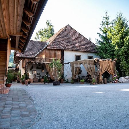 Ivancna Gorica Resort Hisa Ida - Apartments With Hot Tub And Sauna מראה חיצוני תמונה